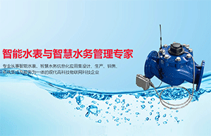 如何為智能水表防水？選擇施奈仕環(huán)保三防漆