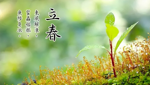 立春：春已至，萬物始，施奈仕奔赴新征程
